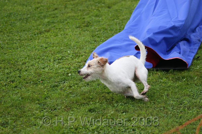 jubil.lusten. 061.jpg